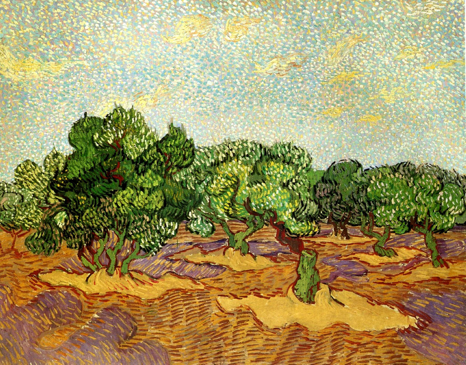 文森特 梵高 橄榄树林 淡蓝色的天空 艺术赏析 顶级艺术网